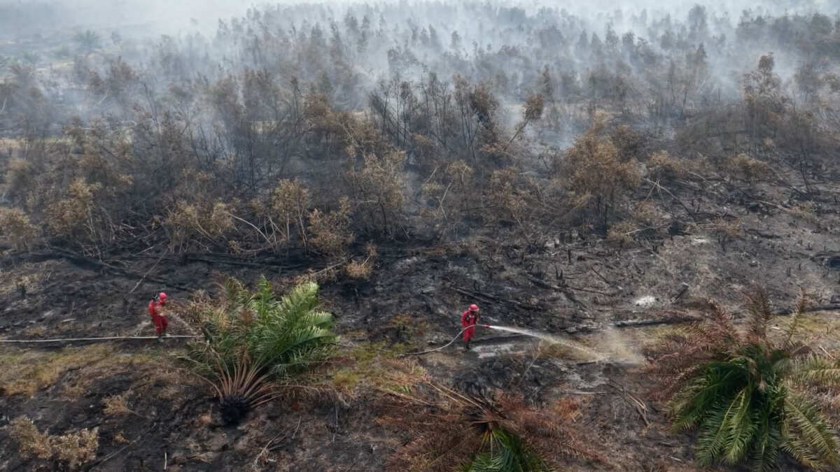 Kebakaran Hutan dan Upaya Pemadaman di Ogan Komering Ilir Kebakaran Hutan dan Upaya Pemadaman di Ogan Komering Ilir