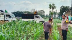 Bhabinkamtibmas Jrebeng Kidul Turun ke Sawah, Kawal Program Ketahanan Pangan