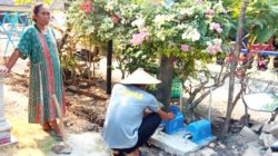 TMMD 129 Bojonegoro Sukses Alirkan Air Bersih, Warga Bekatul Ucapkan Terima Kasih