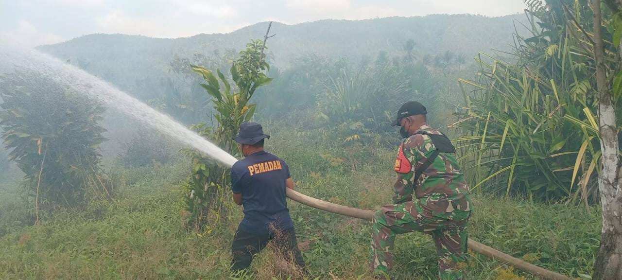 Babinsa Koramil Maba Turun Tangan, Cegah Api Meluas di Lahan Warga