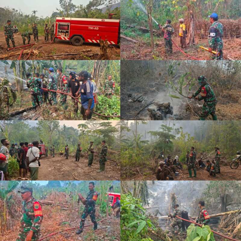Gerak Cepat TNI dan Warga Padamkan Kebakaran Lahan di Momiwaren Gerak Cepat TNI dan Warga Padamkan Kebakaran Lahan di Momiwaren
