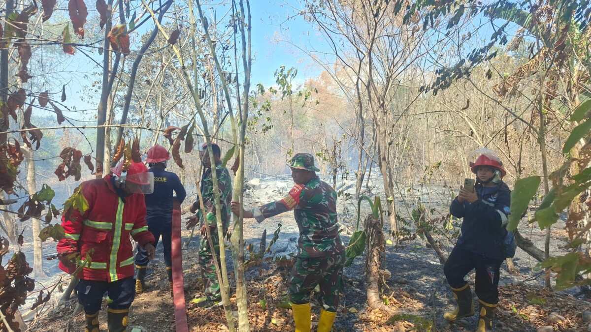 TNI Gerak Cepat Padamkan Kebakaran Lahan Perkebunan Warga di Desa Oba TNI Gerak Cepat Padamkan Kebakaran Lahan Perkebunan Warga di Desa Oba