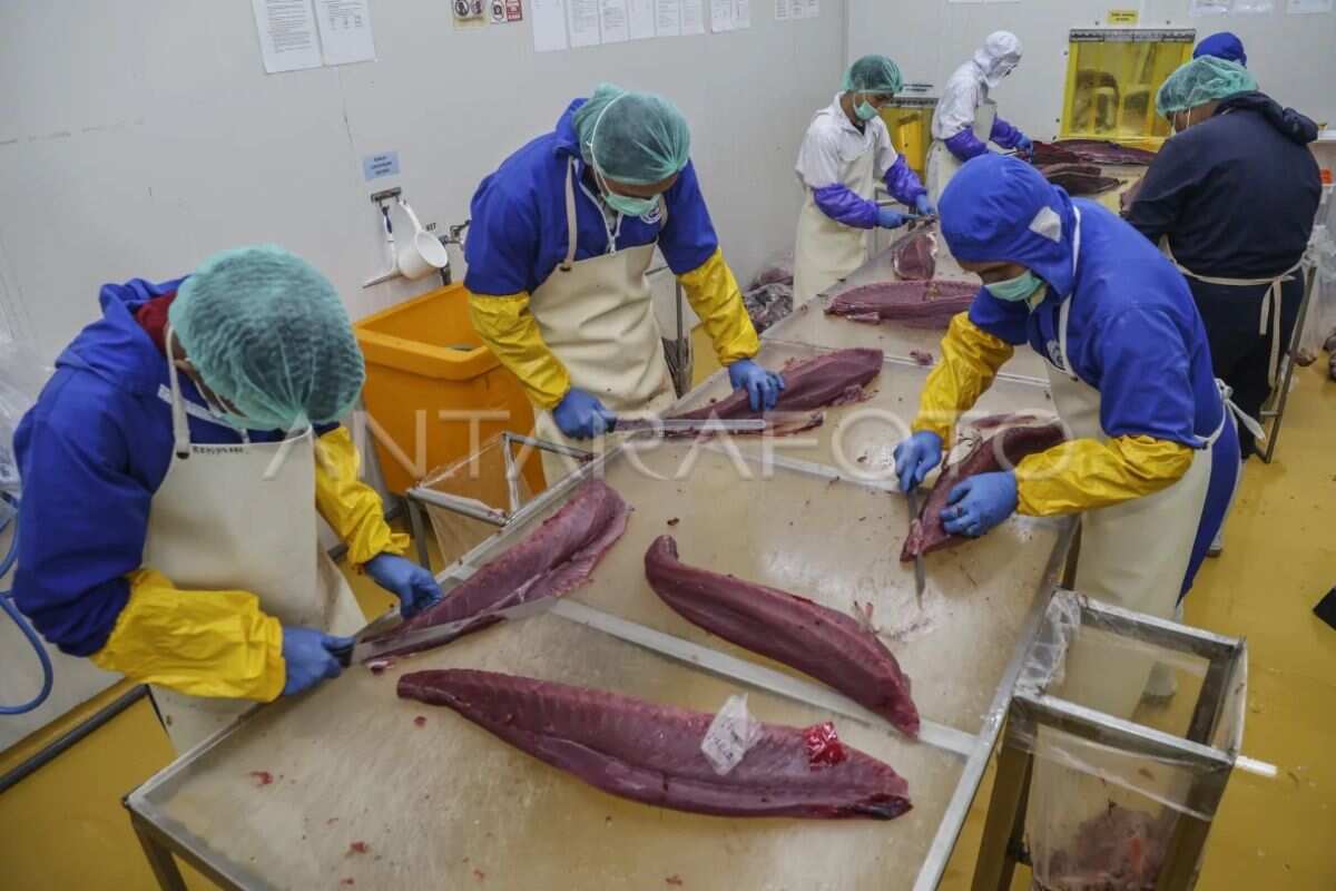 Peningkatan Kompetensi Pekerja Dalam Pengolahan Tuna