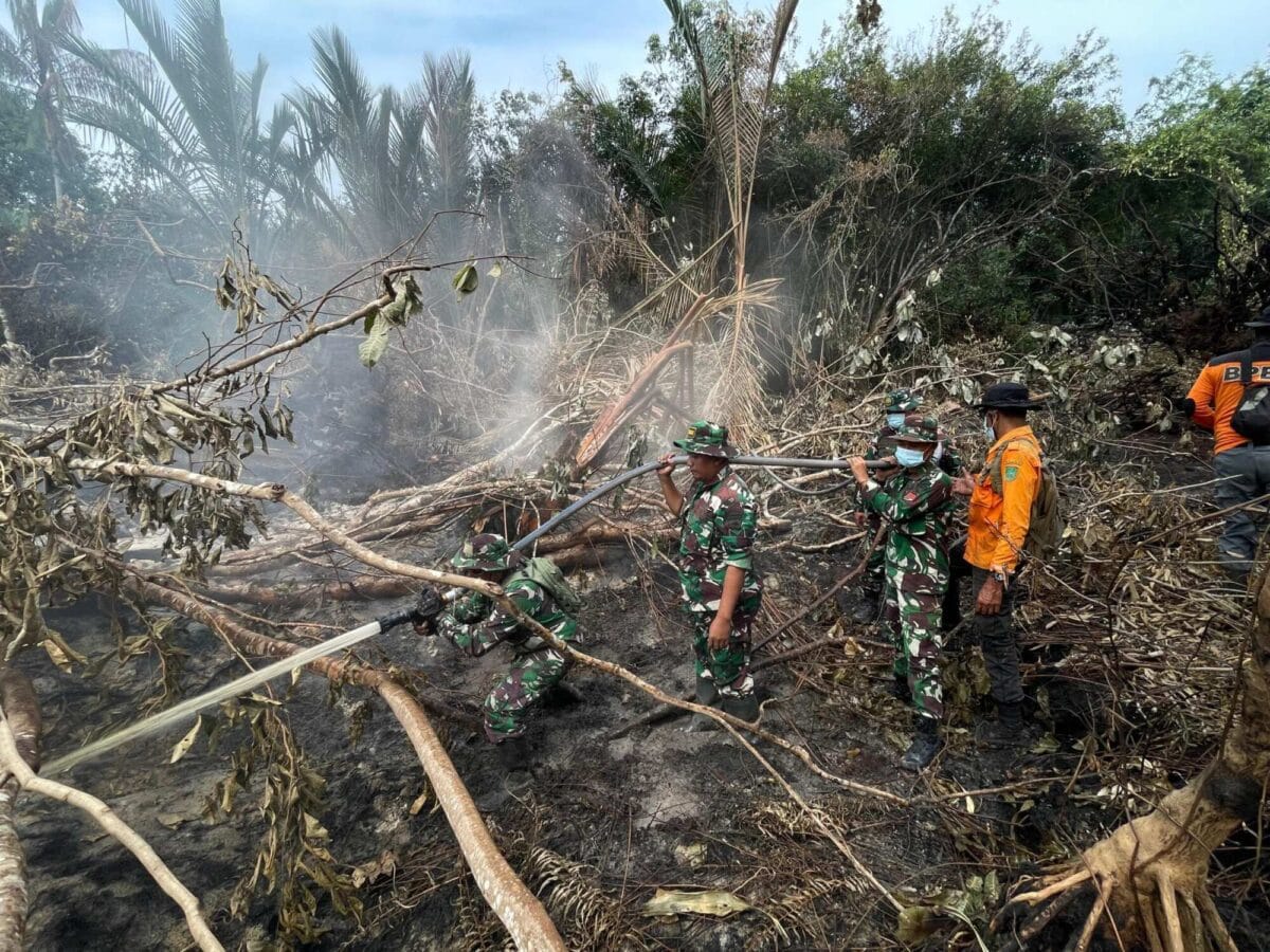 TNI Siagakan 73.766 Personel Tangani Karhutla di Berbagai Wilayah