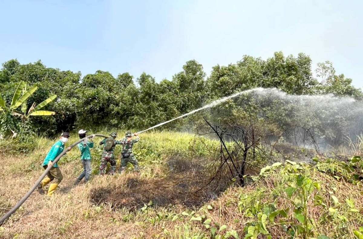 Padamkan Bara di Balik Gambut, Satgas Darat Lanud Sjamsudin Noor Jaga Permukiman Dari Ancaman Karhutla Padamkan Bara di Balik Gambut, Satgas Darat Lanud Sjamsudin Noor Jaga Permukiman Dari Ancaman Karhutla