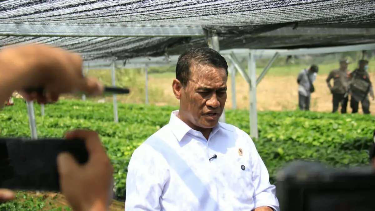 Investasi Pemerintah untuk Pengembangan Kopi dan Kakao di Lampung