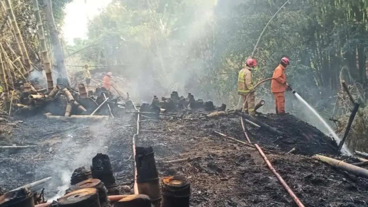 Peningkatan Tindakan Hukum Terhadap Karhutla