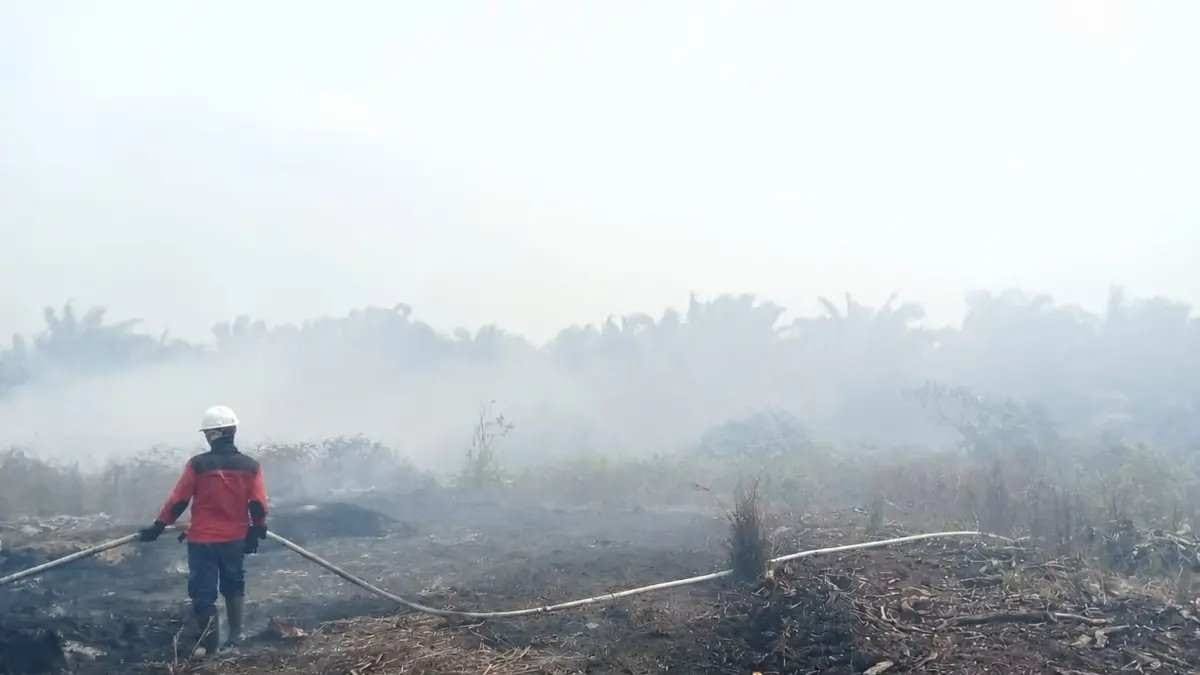 Memahami Pendekatan Terbaik Dalam Penanganan Karhutla di Kalimantan Memahami Pendekatan Terbaik Dalam Penanganan Karhutla di Kalimantan