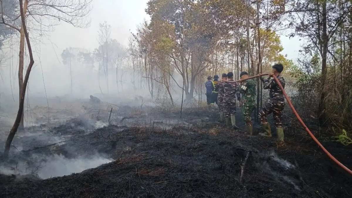 Optimalkan Penanganan Karhutla di Riau dengan Potensi Hujan