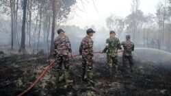 Penanganan Karhutla Riau: Pemadaman dan Pemulihan Hutan Penanganan Karhutla Riau: Pemadaman dan Pemulihan Hutan