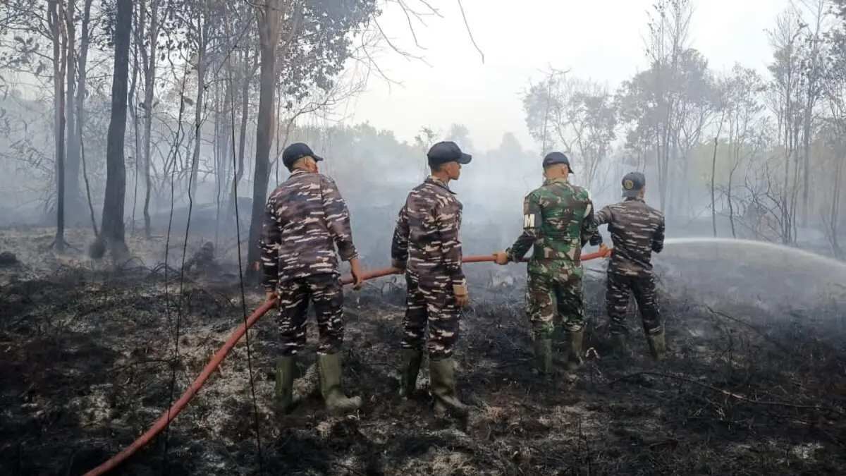 Penanganan Karhutla Riau: Pemadaman dan Pemulihan Hutan Penanganan Karhutla Riau: Pemadaman dan Pemulihan Hutan