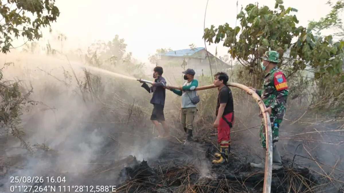 Peningkatan Drastis Hotspot Karhutla di Kalimantan