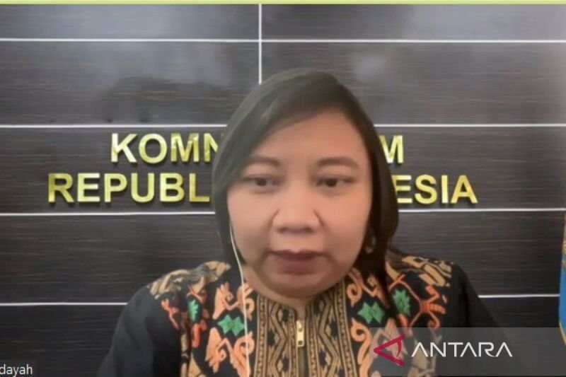 Penyelidikan Pelanggaran HAM: Tim Ad Hoc Komnas HAM untuk Peristiwa Kuda Tuli