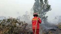 Penerapan Tanggung Jawab Mutlak dalam Kebakaran Hutan di Kalimantan Barat