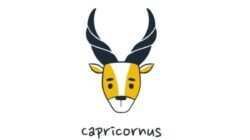 Prediksi Karier Zodiak Capricorn untuk Senin, 31 Agustus 2026