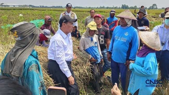 Bantuan Alsintan Resmi Berlaku bagi Buruh Tani Bantuan Alsintan Resmi Berlaku bagi Buruh Tani