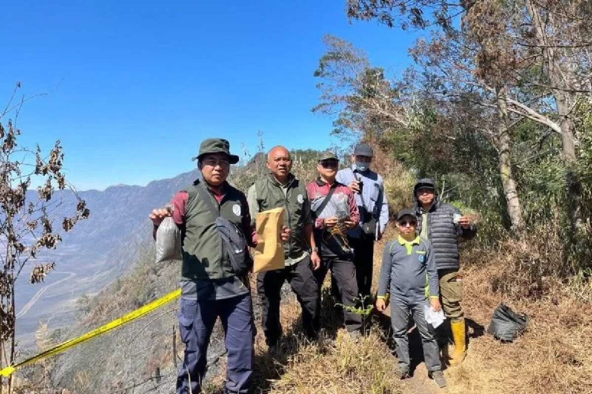 Investigasi Kebakaran Hutan di Gunung Bromo Investigasi Kebakaran Hutan di Gunung Bromo