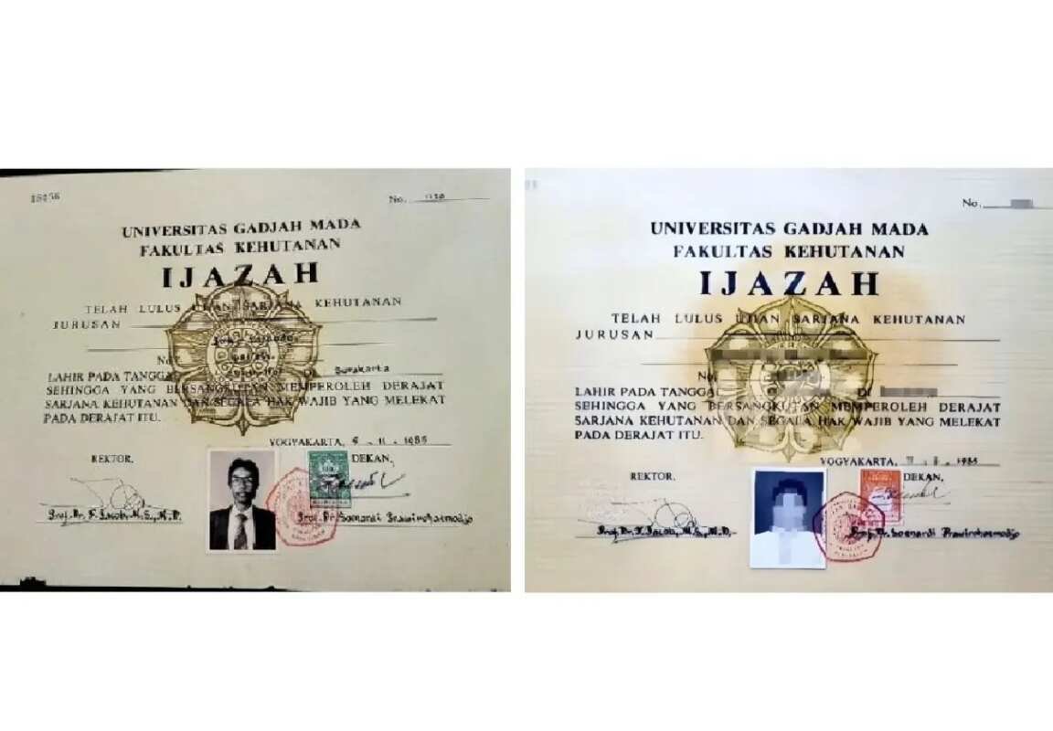 Menguak Sejarah Font Times New Roman dan Ijazah Jokowi Menguak Sejarah Font Times New Roman dan Ijazah Jokowi
