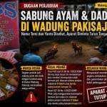 Sabung Ayam dan Dadu Bertaruh Uang Disorot di Dusun Wadung Pakisaji Sabung Ayam dan Dadu Bertaruh Uang Disorot di Dusun Wadung Pakisaji