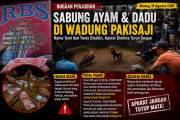 Sabung Ayam dan Dadu Bertaruh Uang Disorot di Dusun Wadung Pakisaji