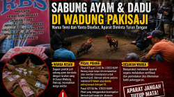 Dugaan Sabung Ayam dan Dadu Bertaruh Uang Disorot di Dusun Wadung Pakisaji Dugaan Sabung Ayam dan Dadu Bertaruh Uang Disorot di Dusun Wadung Pakisaji