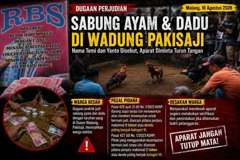Sabung Ayam dan Dadu Bertaruh Uang Disorot di Dusun Wadung Pakisaji