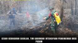 Cegah Kebakaran Susulan, Tim Gabungan Intensifkan Pendinginan Area Padam Cegah Kebakaran Susulan, Tim Gabungan Intensifkan Pendinginan Area Padam