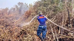 Jaga Gambut Tetap Aman, Satgas Darat Lanud Sjamsudin Noor Perkuat Pembasahan Berkelanjutan Jaga Gambut Tetap Aman, Satgas Darat Lanud Sjamsudin Noor Perkuat Pembasahan Berkelanjutan
