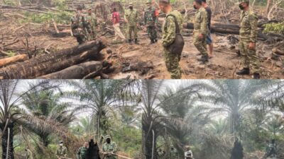 Turun Langsung ke Lapangan, Dalami Karhutla Mandor Jadi Sorotan Pasis Sesko TNI Angkatan LVI di Landak