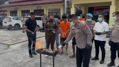 Polres Maybrat Musnahkan 115 Gram Ganja, Komitmen Polri Berantas Narkotika dan Disaksikan oleh Sejumlah Pihak Polres Maybrat Musnahkan 115 Gram Ganja, Komitmen Polri Berantas Narkotika dan Disaksikan oleh Sejumlah Pihak