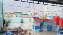 Pembunuhan Tragis di Batam: Asisten Rumah Tangga Habisi Majikan