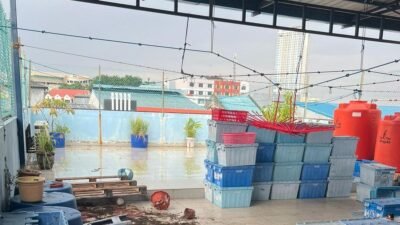Pembunuhan Tragis di Batam: Asisten Rumah Tangga Habisi Majikan