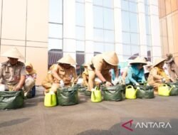 Penanaman Bibit untuk Ketahanan Pangan di Jakarta Pusat