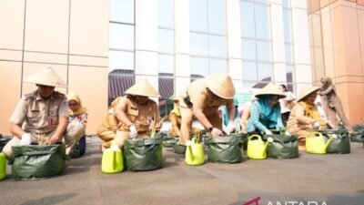 Penanaman Bibit untuk Ketahanan Pangan di Jakarta Pusat