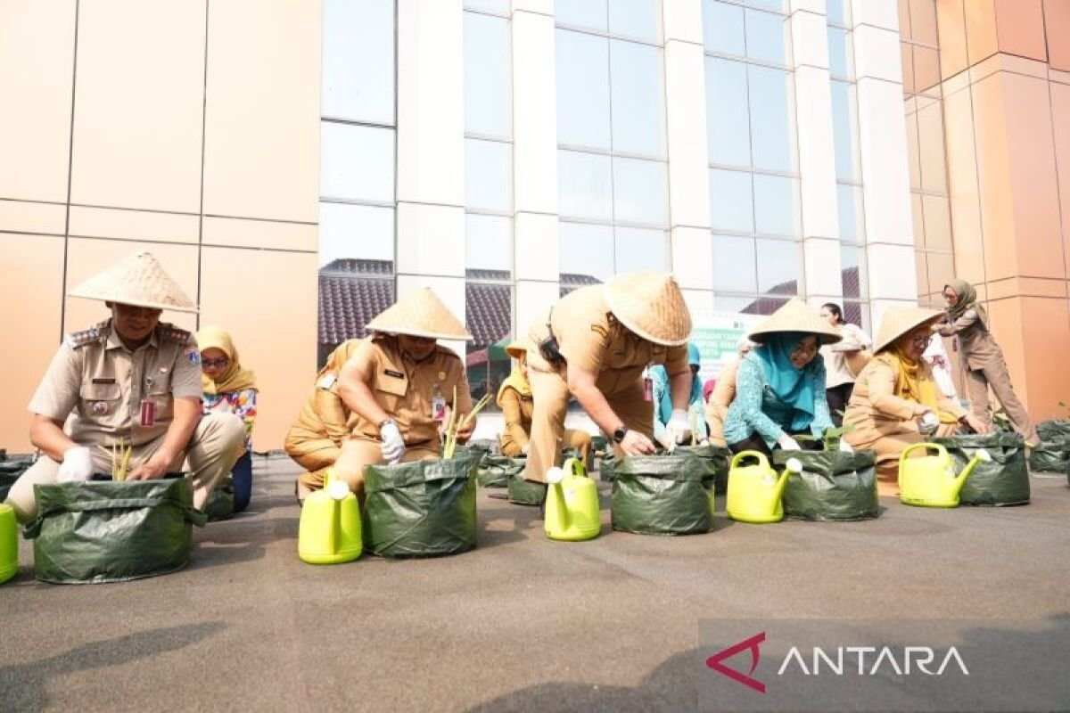 Penanaman Bibit untuk Ketahanan Pangan di Jakarta Pusat Penanaman Bibit untuk Ketahanan Pangan di Jakarta Pusat