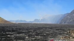 Investigasi Dugaan Kasus Kebakaran Hutan di Gunung Bromo