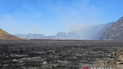 Investigasi Dugaan Kasus Kebakaran Hutan di Gunung Bromo