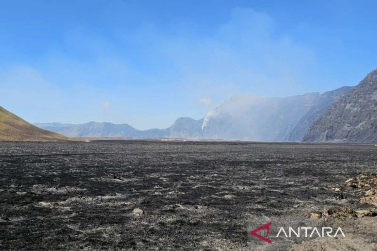 Investigasi Dugaan Kasus Kebakaran Hutan di Gunung Bromo