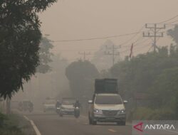 Kabut Asap Dari Kalimantan Memengaruhi Brunei