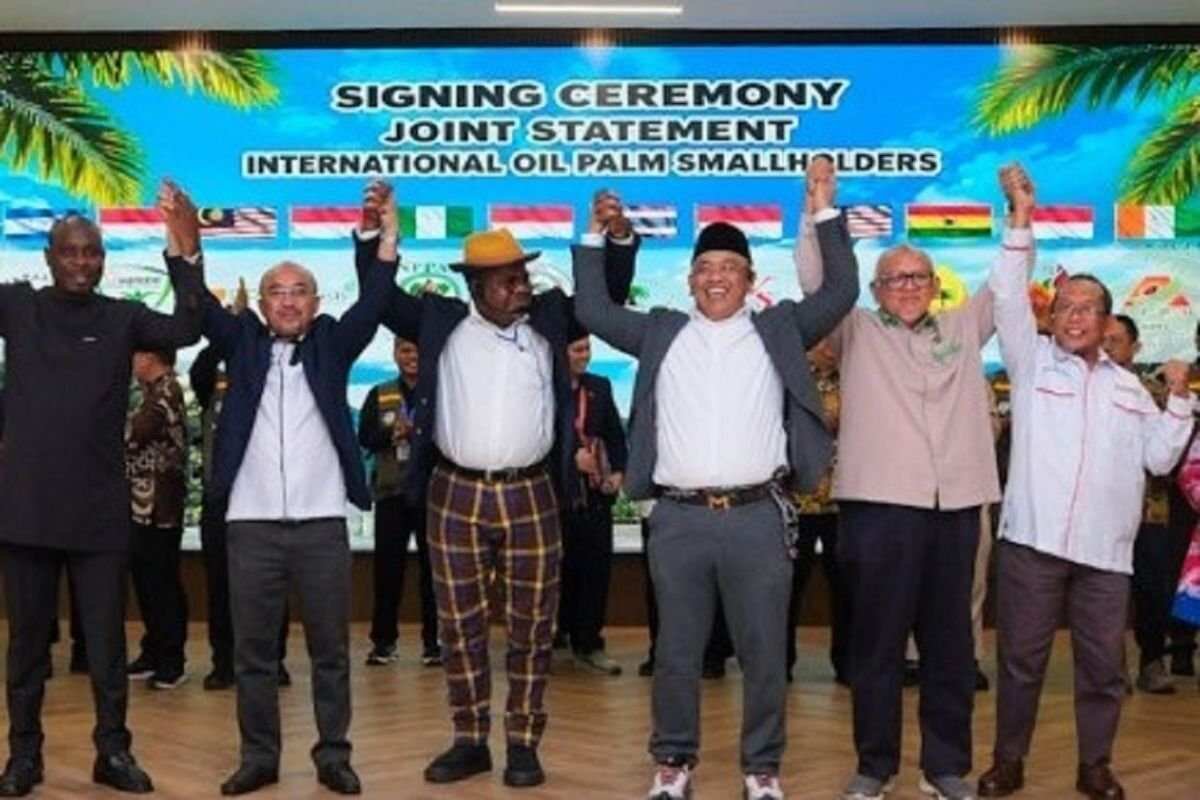 Peran Indonesia dalam Memperkuat Petani Sawit Global