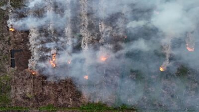 Penanganan Kebakaran Hutan dan Lahan oleh Prabowo Penanganan Kebakaran Hutan dan Lahan oleh Prabowo