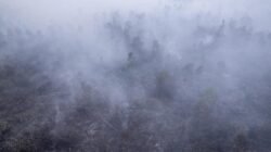 Dampak Asap Kebakaran Hutan Indonesia Terhadap Negara Tetangga