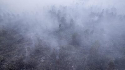Dampak Asap Kebakaran Hutan Indonesia Terhadap Negara Tetangga