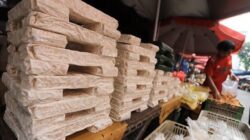 Potensi Tempe dalam Pasar Global dan Peran Ragi Tempe