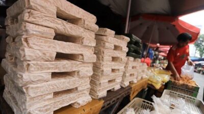 Potensi Tempe dalam Pasar Global dan Peran Ragi Tempe