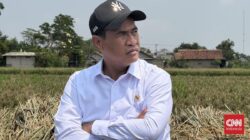 Amran Penyebaran 250 Ton Benih Padi dari Subang ke Seluruh Indonesia