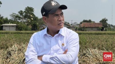 Amran Penyebaran 250 Ton Benih Padi dari Subang ke Seluruh Indonesia