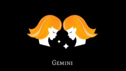 Peluang Baru Zodiak Gemini di Dunia Karier