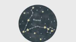 Peluang Karier Zodiak Pisces di 3 September 2026