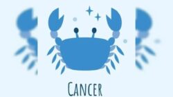 Evaluasi Karir Zodiak Cancer di Hari Jumat Evaluasi Karir Zodiak Cancer di Hari Jumat